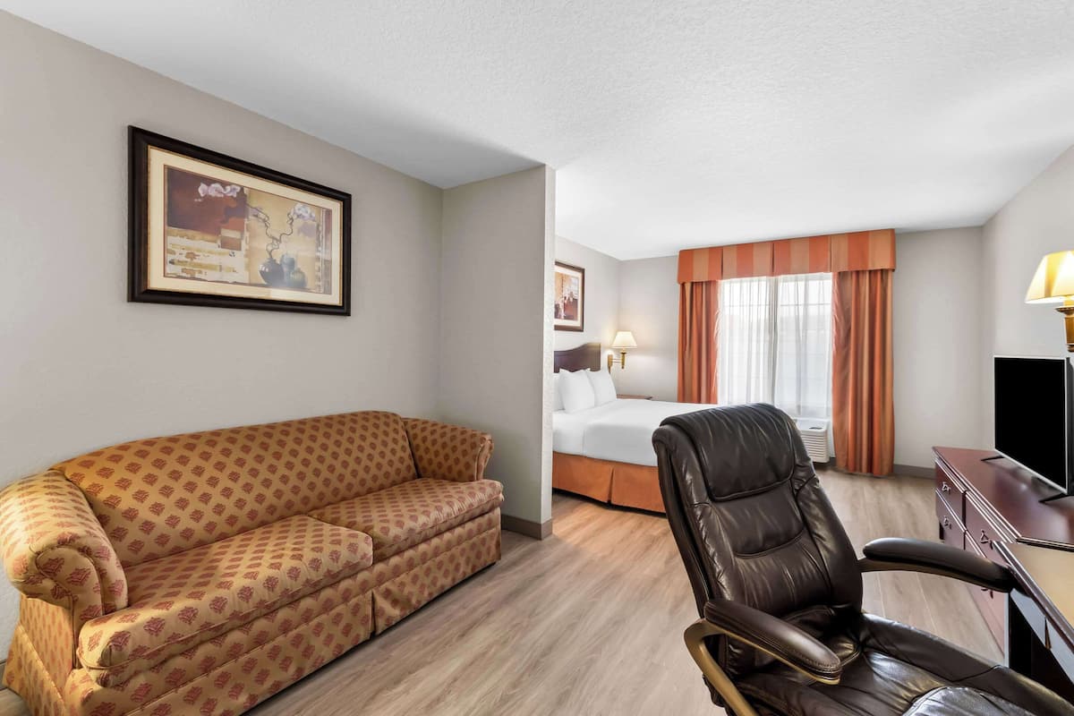 Studio Suite, 1 King Bed, Non Smoking | Premium bedding, down comforters, desk, laptop workspace