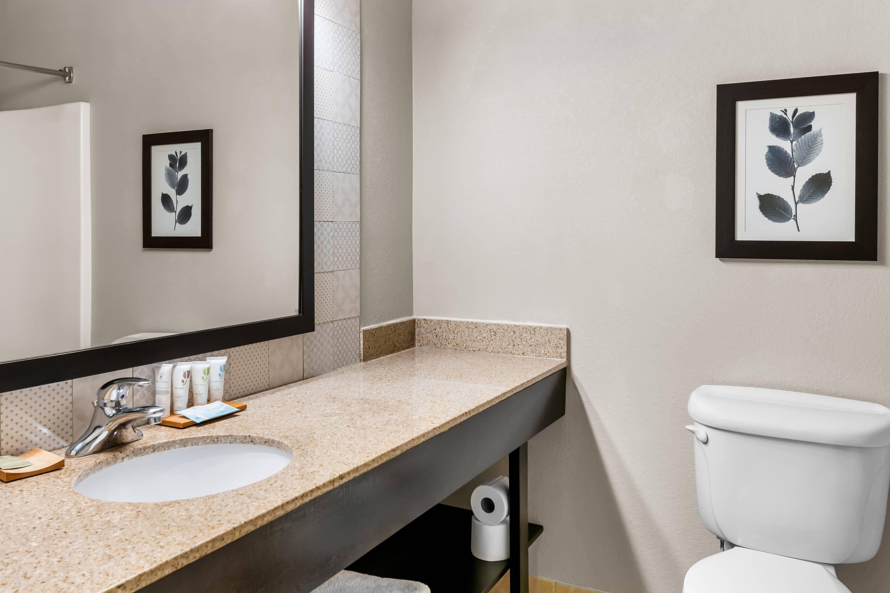 Un baño con lavabo, espejo, inodoro, un cuadro con hojas y artículos de aseo.