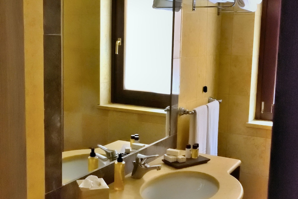 free toiletries, hair dryer, bidet, towels