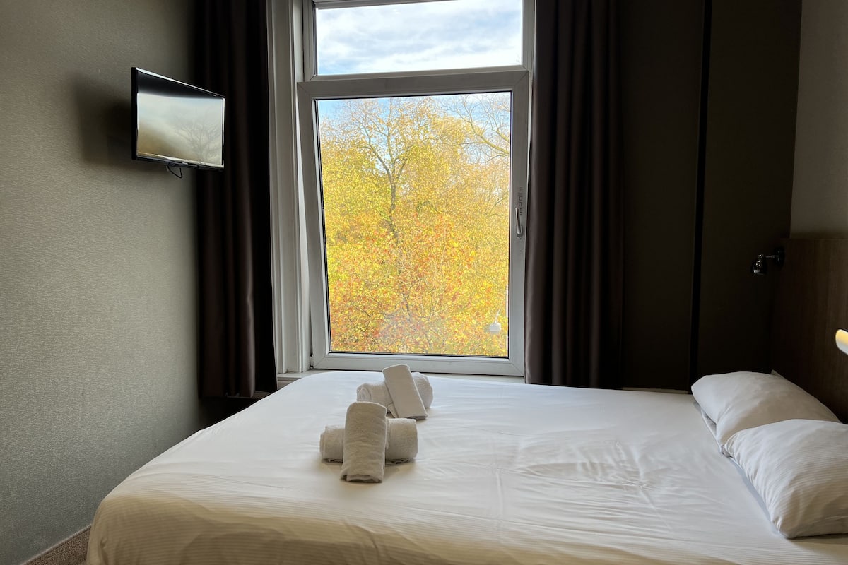 A hotel room with a bed, a TV on the wall, and a window with autumn leaves outside.
