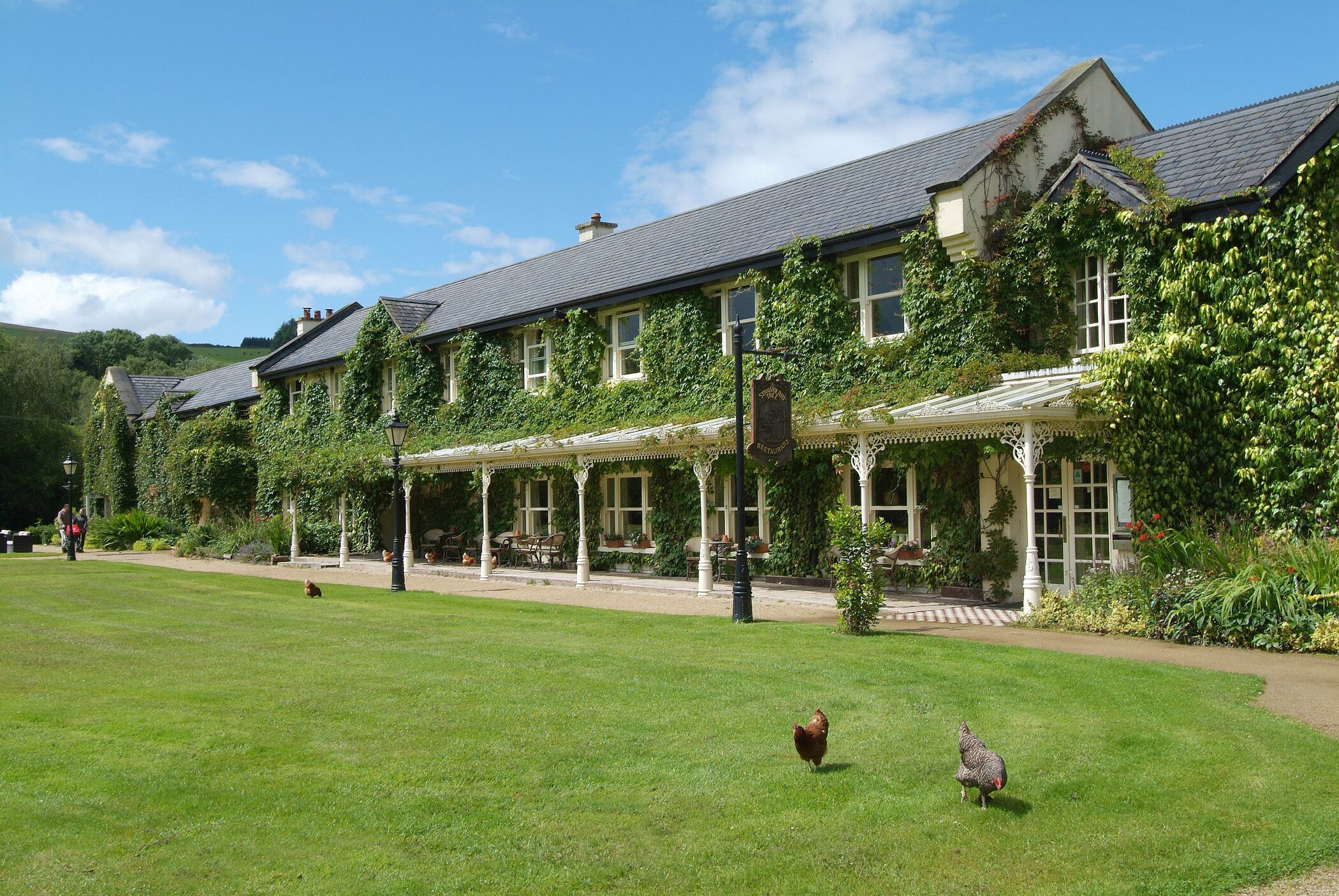 A large, ivy-covered building with a spacious lawn and a covered outdoor seating area.
