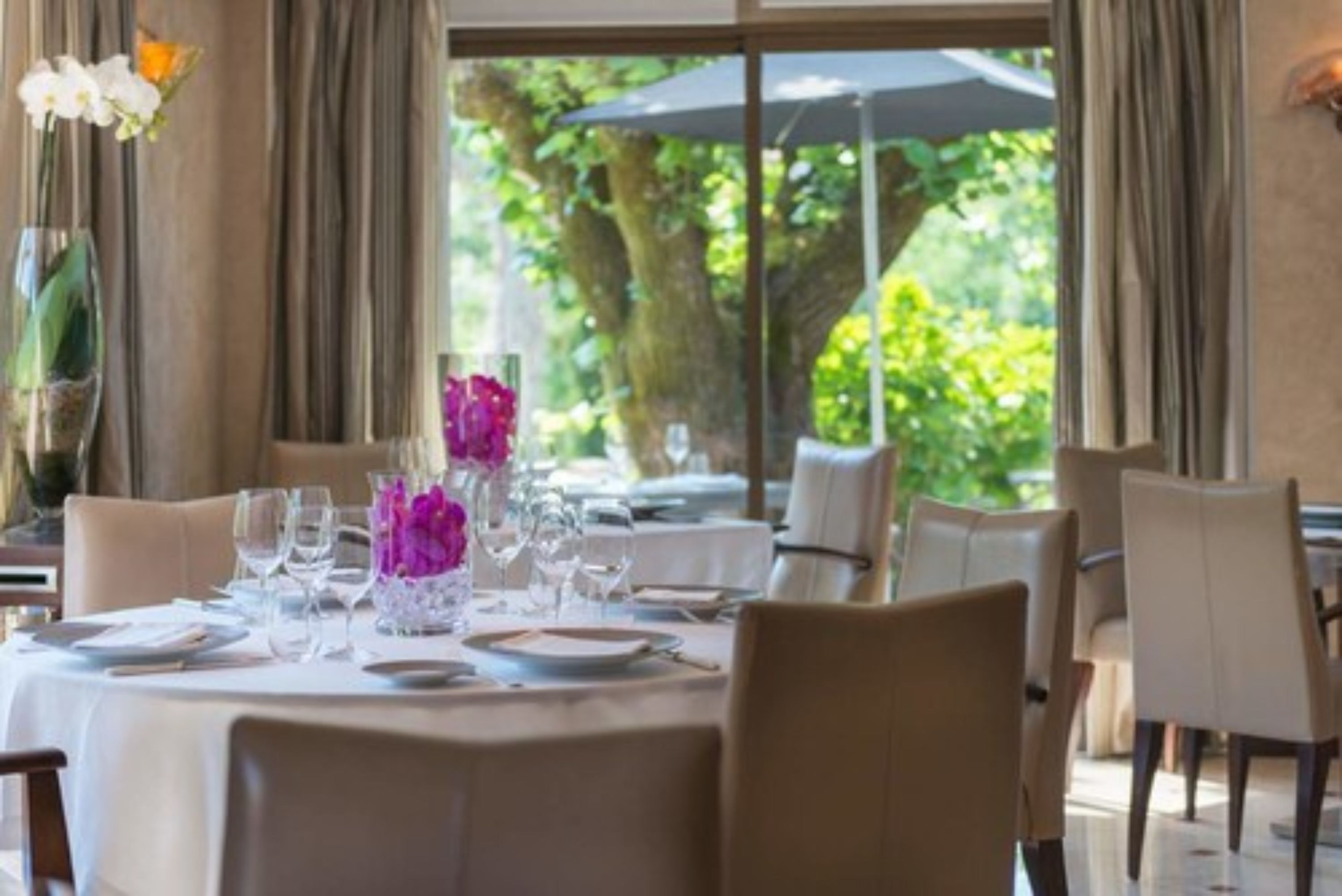 lunch, dinner, brunch served; french cuisine