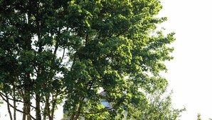Une terrasse en bois avec un banc, un mur en pierre et une vue sur un bâtiment dont les murs sont recouverts de lierre.