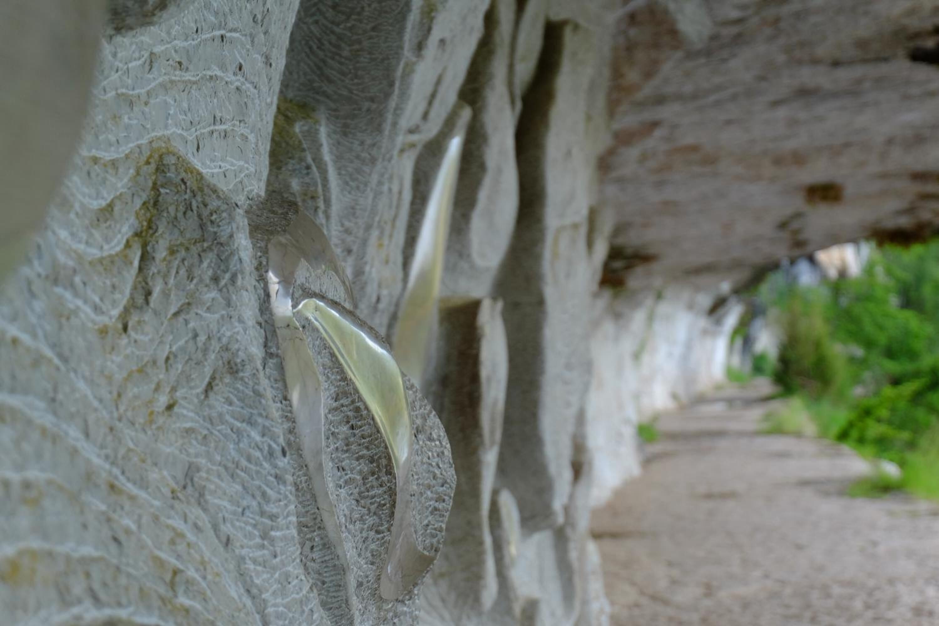 Primer plano de una pared de cueva con una estalactita colgando del techo.