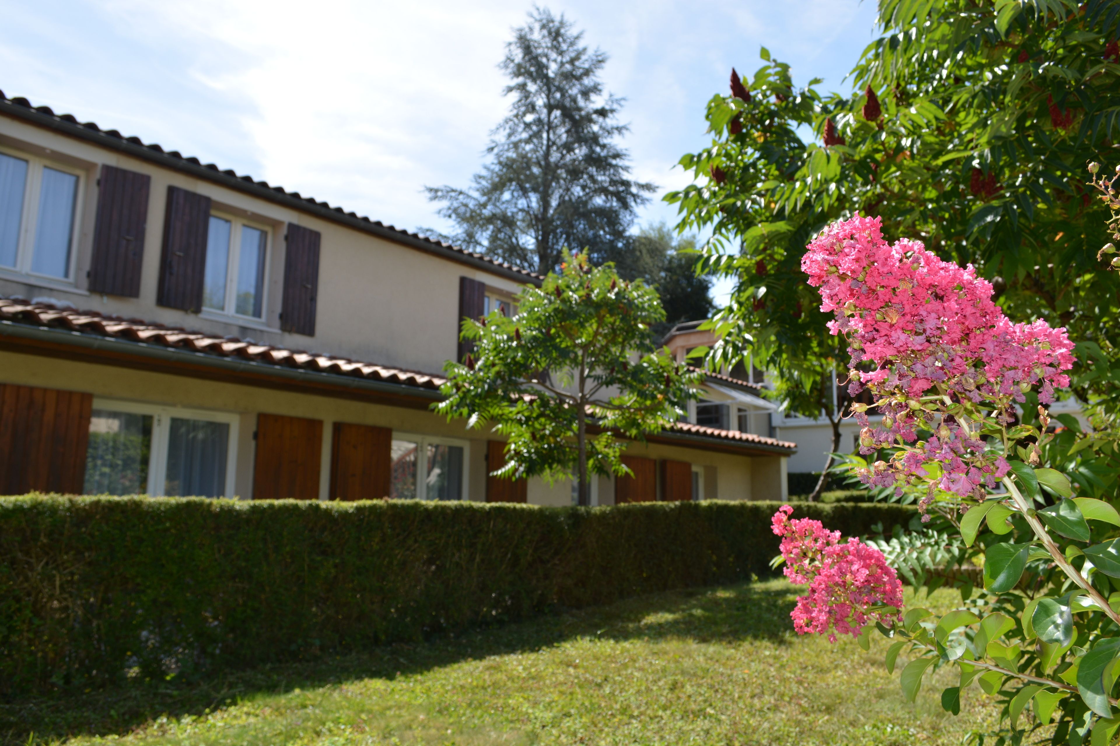 A two-story building with a tiled roof, a well-maintained hedge, and a flowering tree in the foreground.