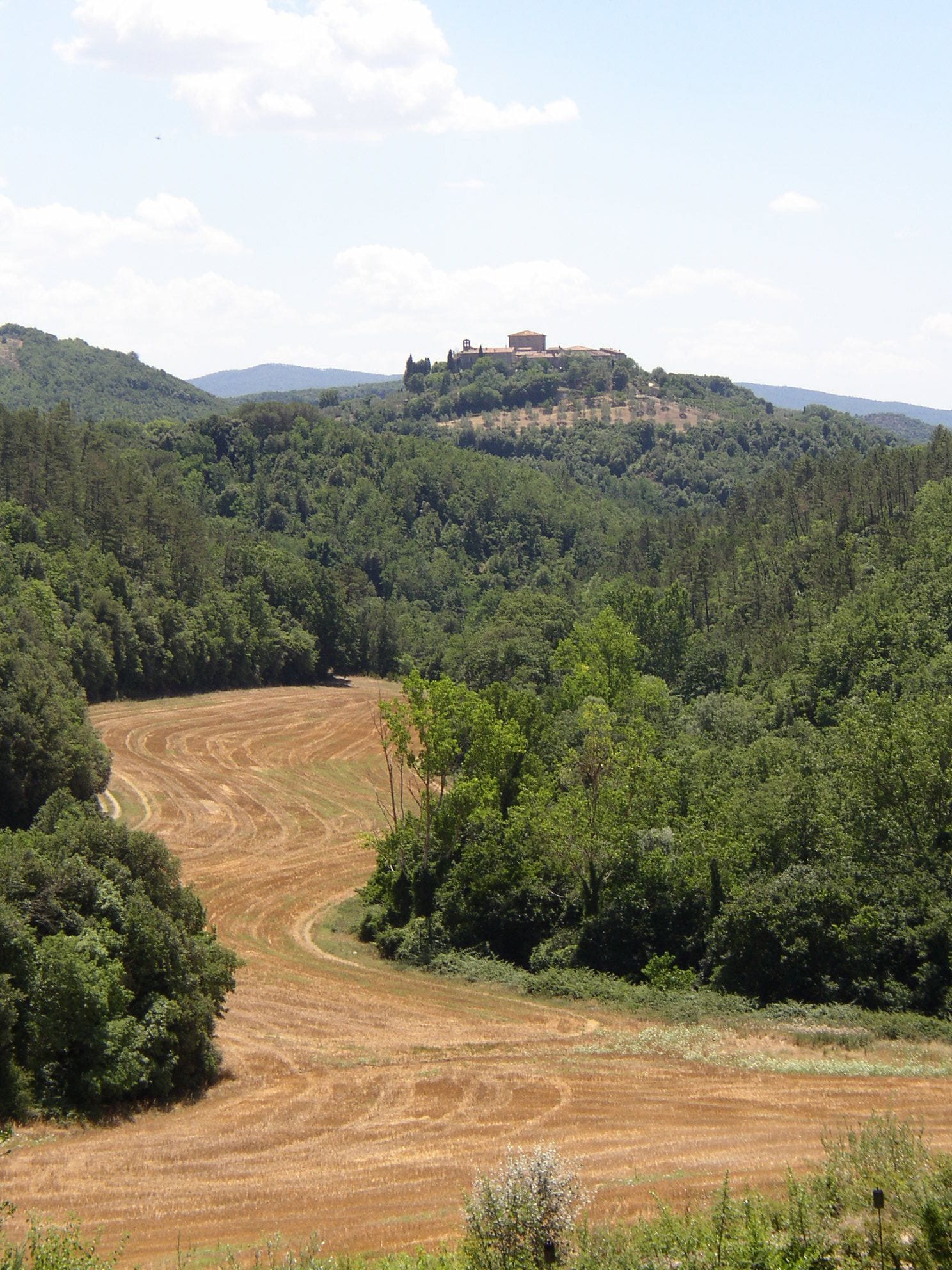 A rural landscape with a hill featuring a building on top, surrounded by dense forest and a cleared field.