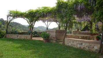 A garden with a pergola covered in purple flowers, stone walls, and a grassy area.
