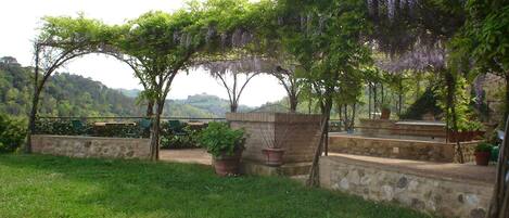 A garden with a pergola covered in purple flowers, stone walls, and a grassy area.