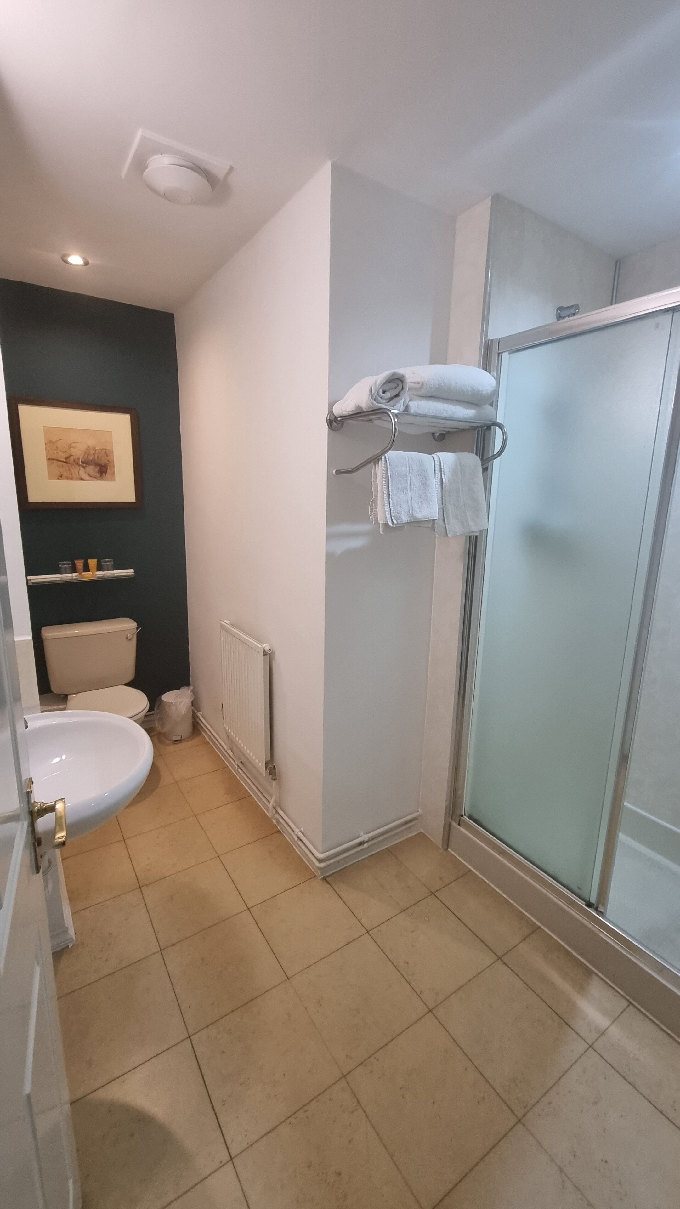 A bathroom with a toilet, sink, and shower.