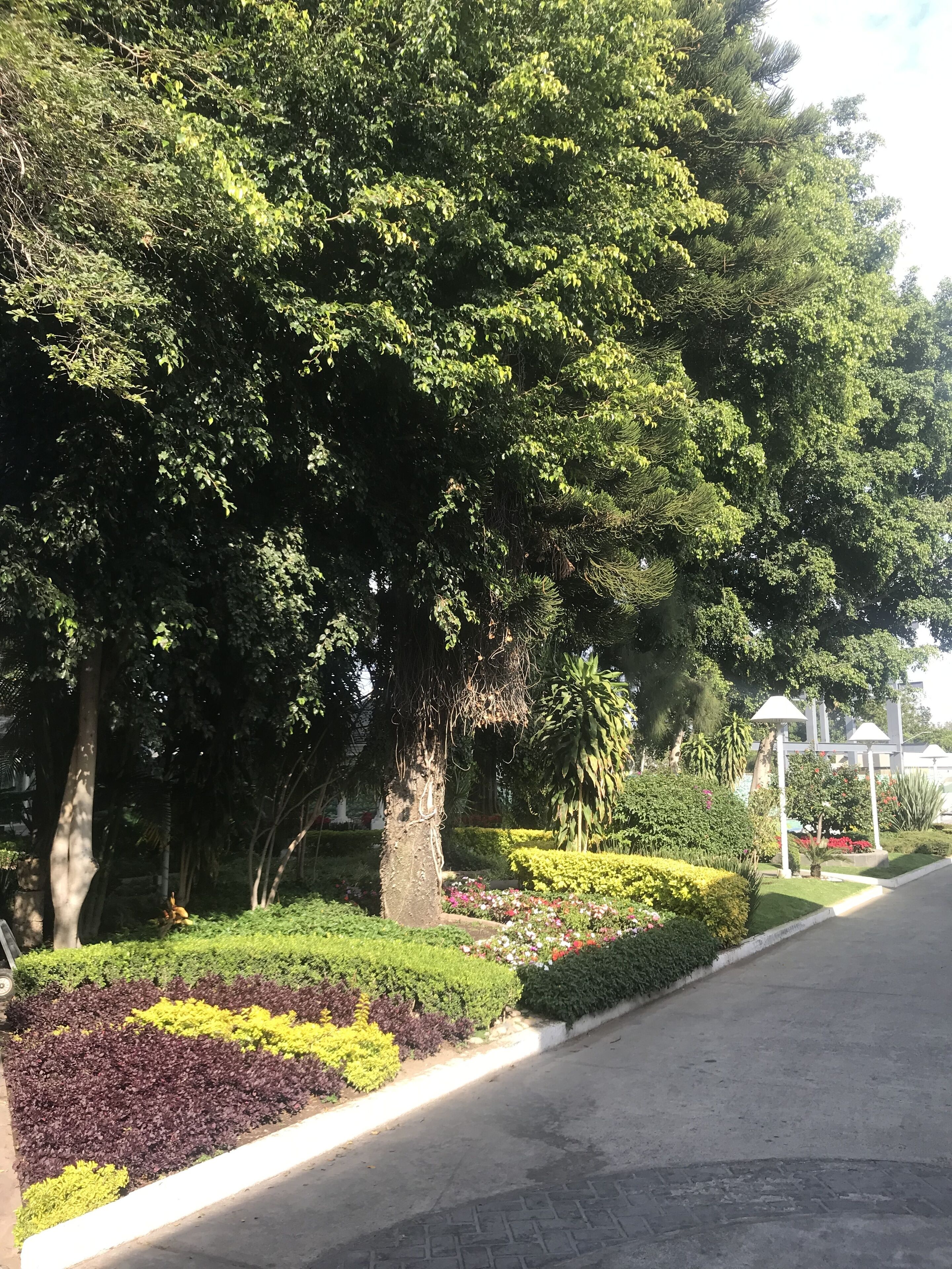 Foto - Hotel Ronda Minerva