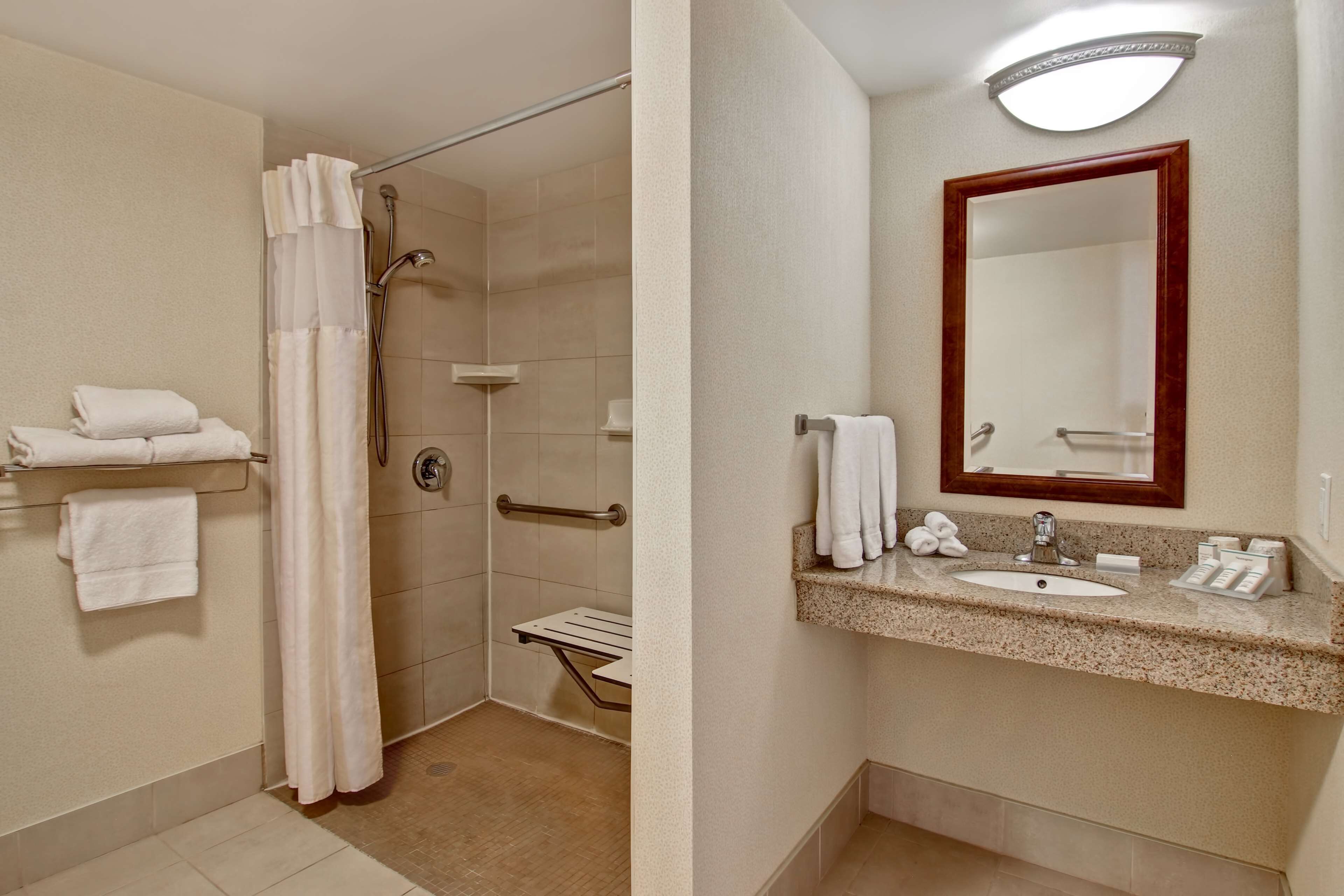 room, 1 king bed, accessible | bathroom shower