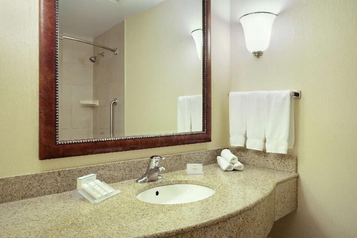 A hotel bathroom with a sink, mirror, towel rack, and shower.