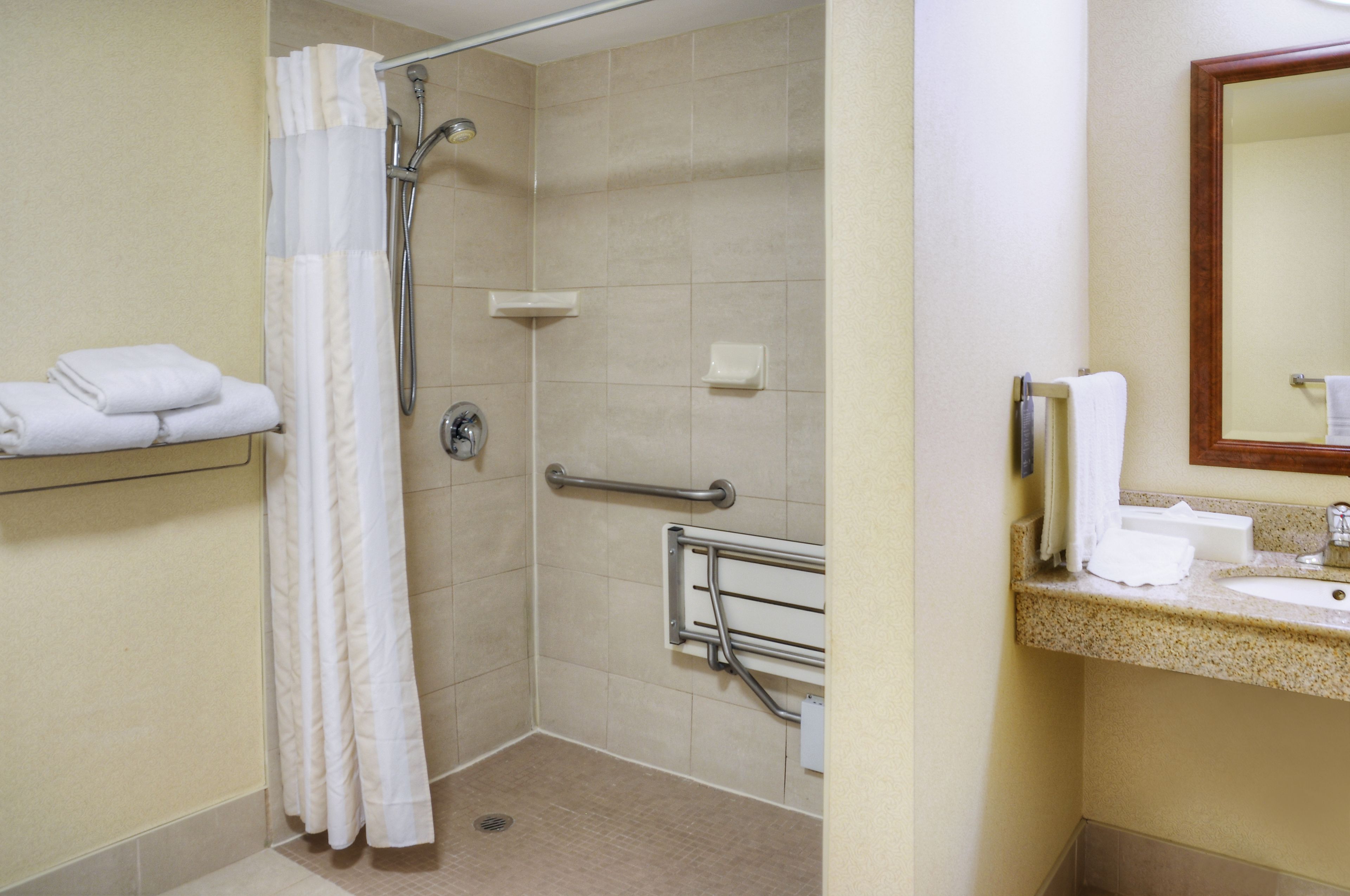 room, 1 king bed, accessible | bathroom shower