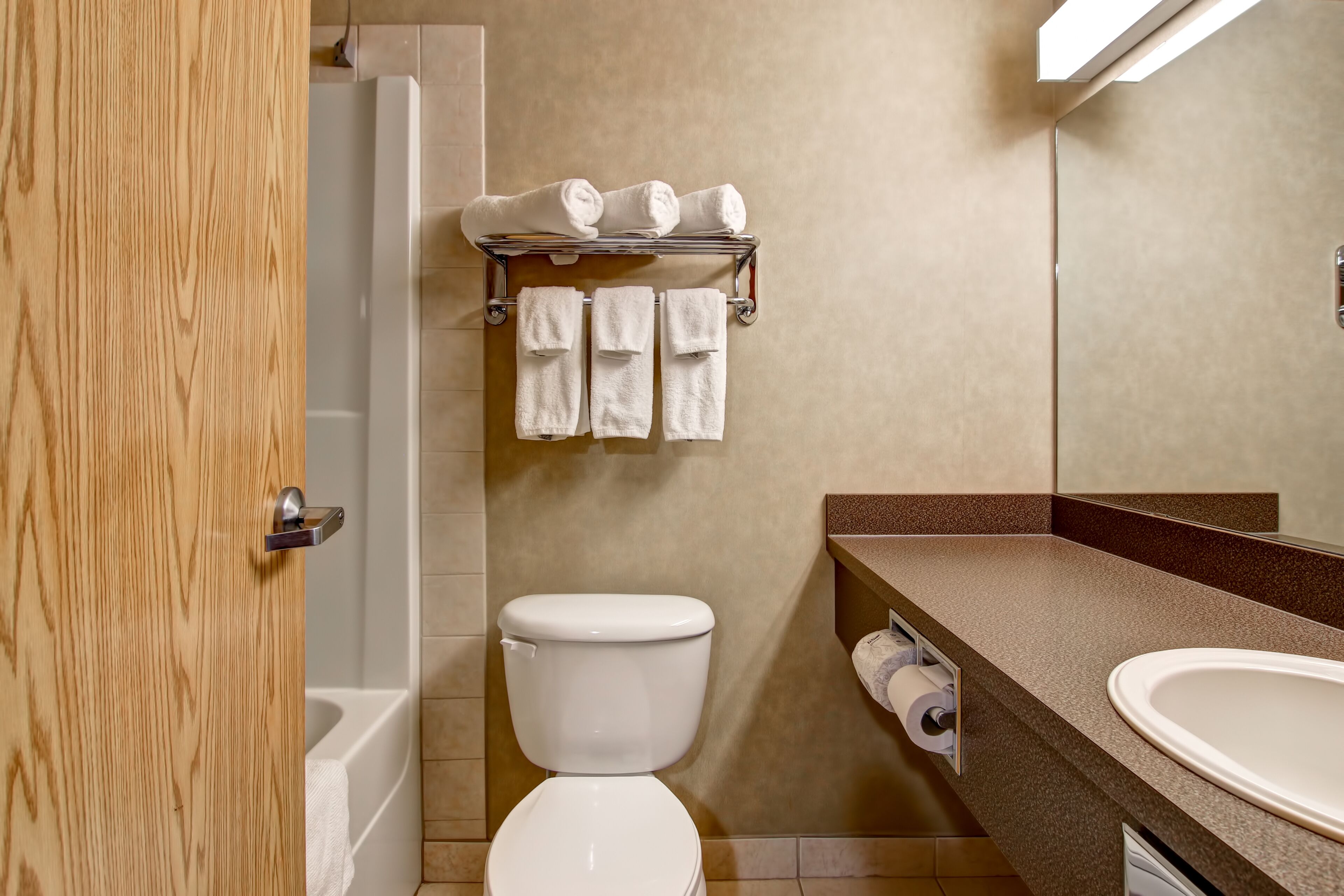 combined shower/bathtub, free toiletries, hair dryer, towels