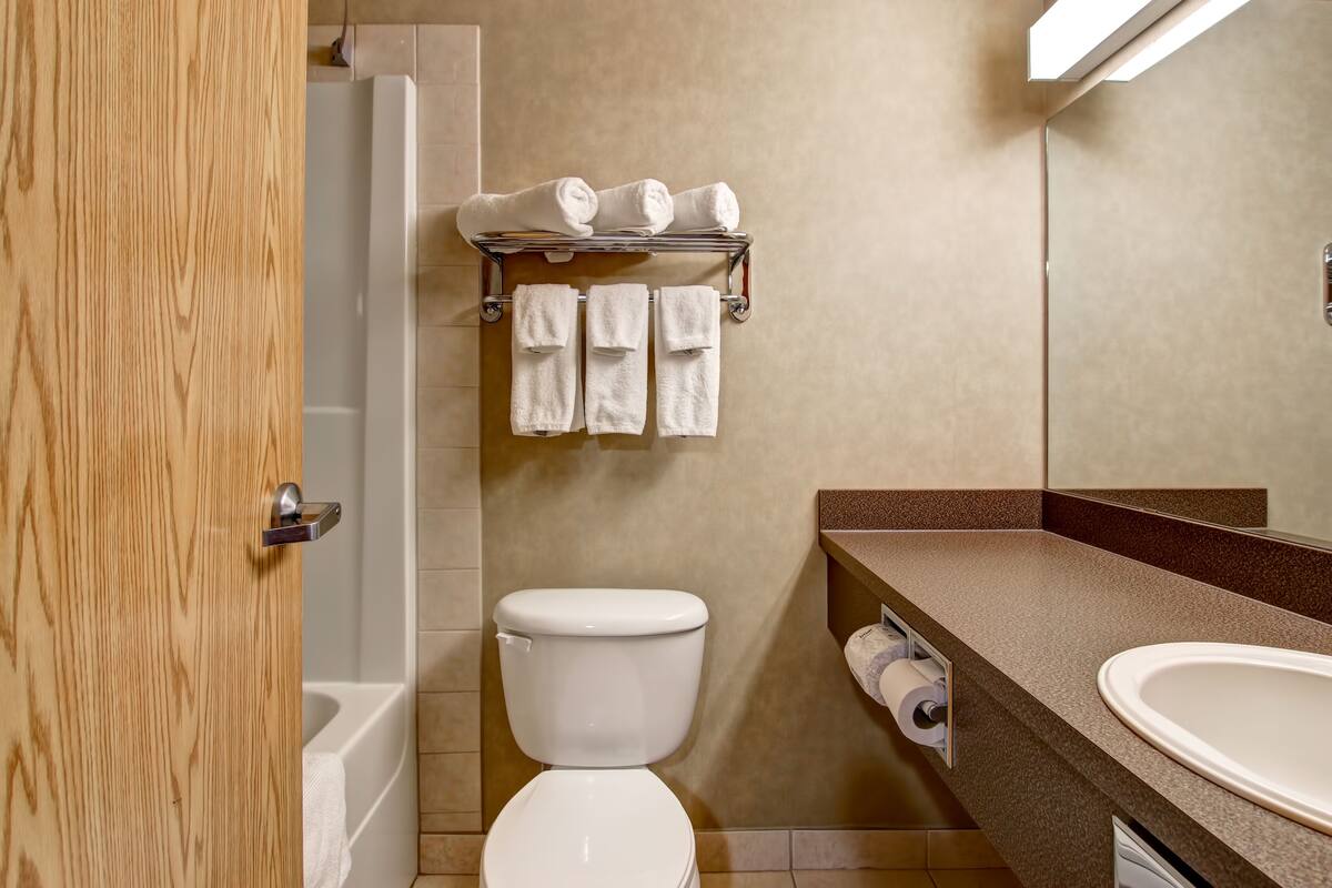 combined shower/bathtub, free toiletries, hair dryer, towels