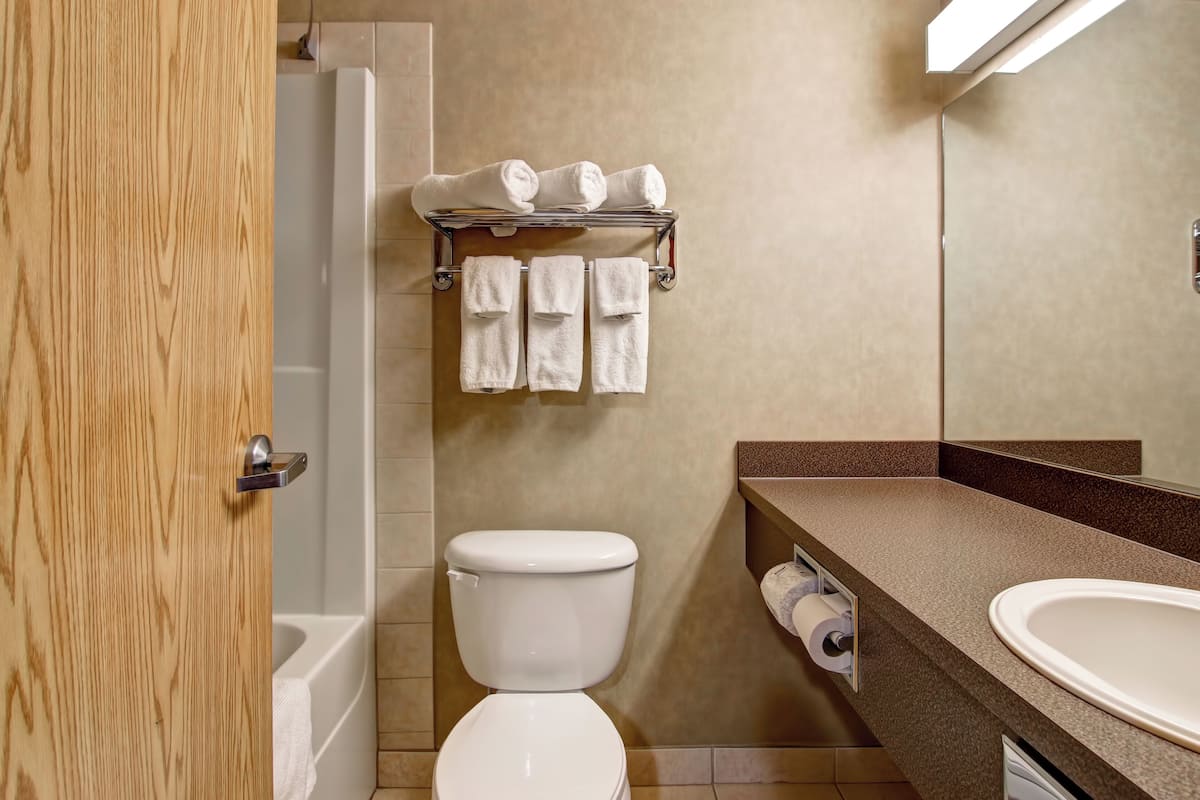 Bañera con ducha, artículos de tocador gratuitos, secador de pelo