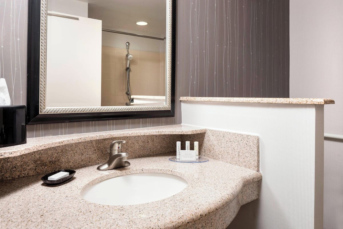 combined shower/bathtub, free toiletries, hair dryer, towels