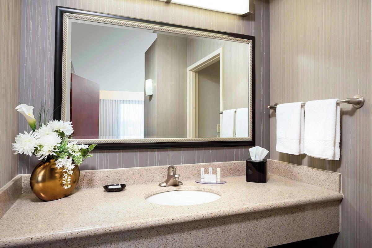 Combined shower/tub, free toiletries, hair dryer, towels