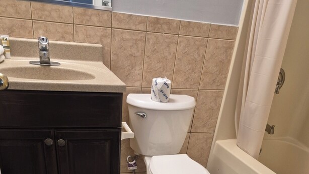 Une salle de bain avec des toilettes, un lavabo et une baignoire.