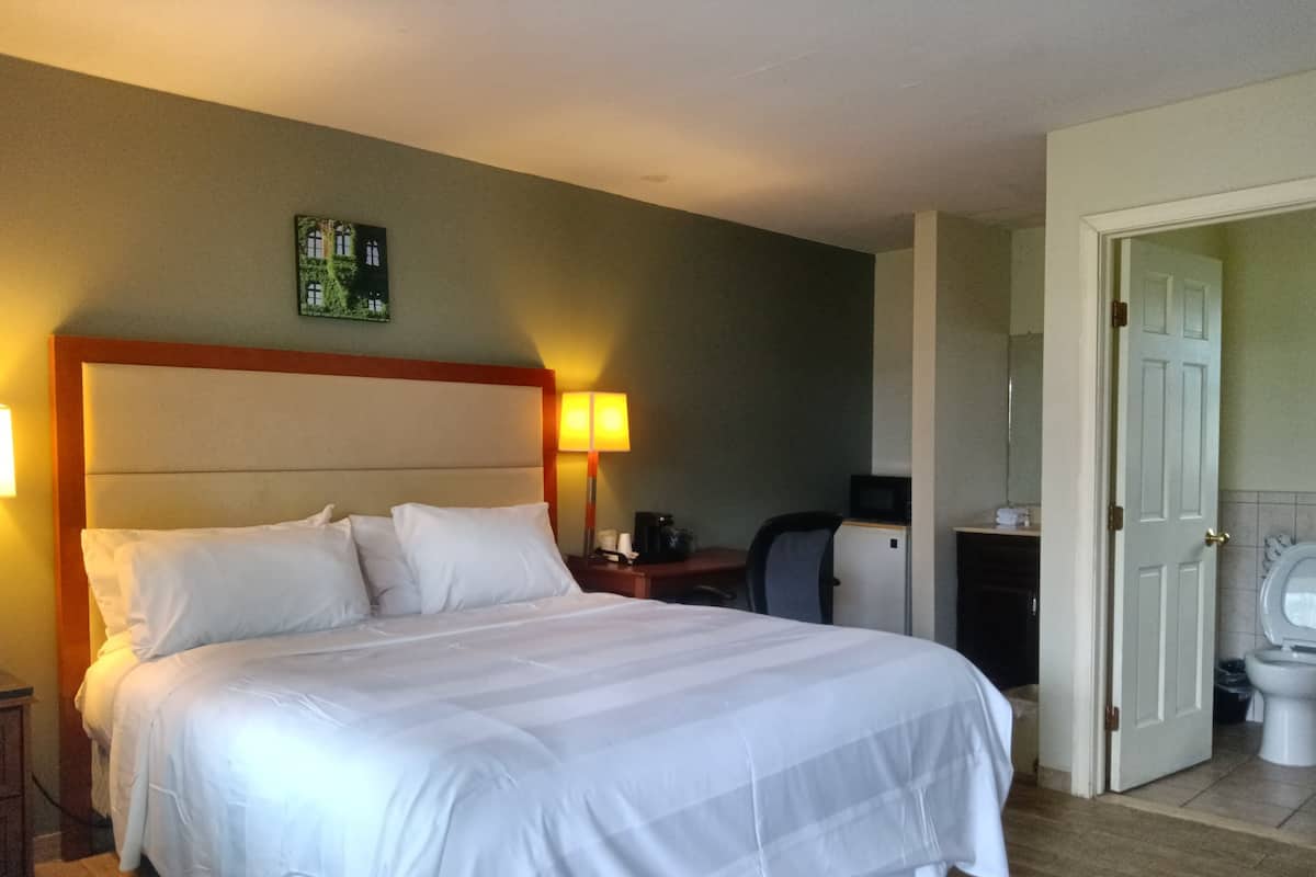 Chambre, 1 trĂšs grand lit | SystĂšme dâinsonorisation, accĂšs au Wi-Fi (inclus), literie fournie