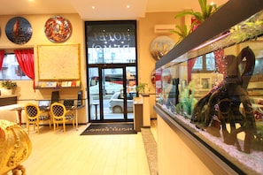 Utsikt fra overnattingsstedet