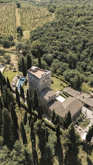 An aerial view of a castle with a swimming pool, surrounded by dense forest and vineyards.