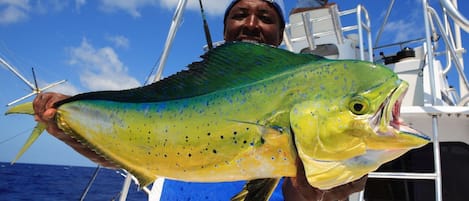 Eine Person hält einen großen Fisch auf einem Boot.