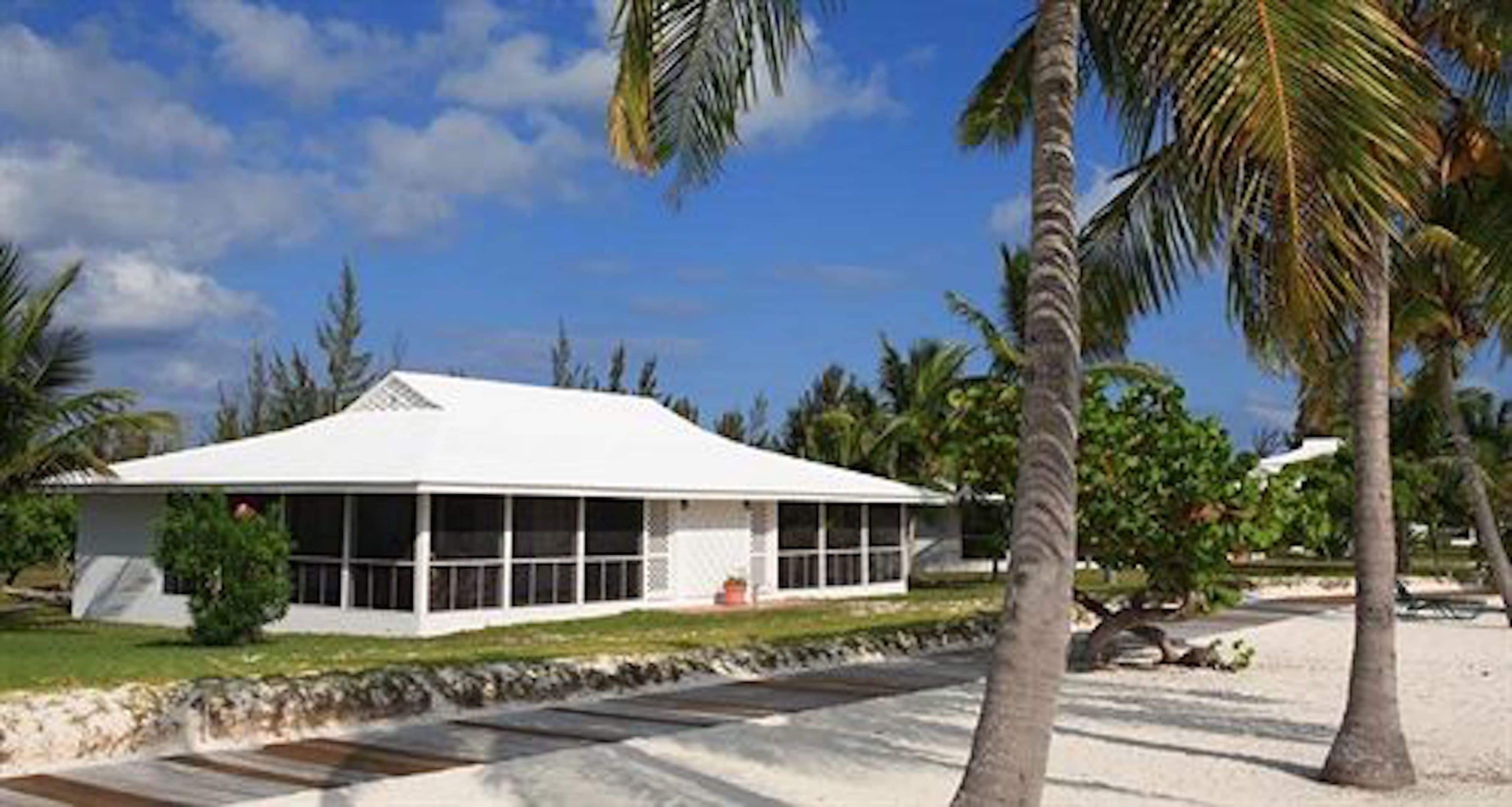 A modern white building with large windows, surrounded by palm trees and a clear blue sky.