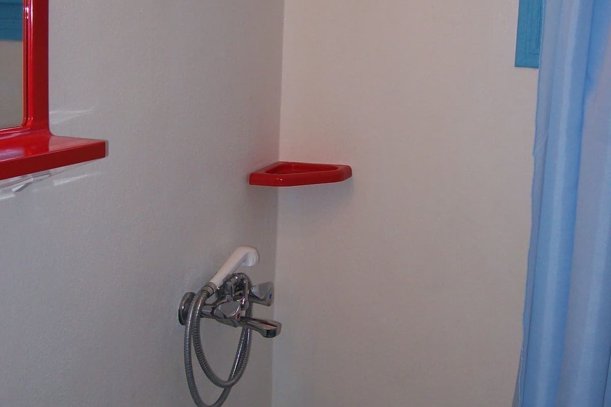 economy double room (annex) | bathroom | shower, free toiletries, hair dryer, towels