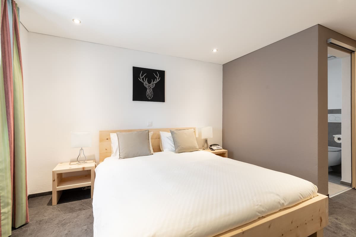 Comfort Double Room | 1 bedroom, down duvets, in-room safe, desk