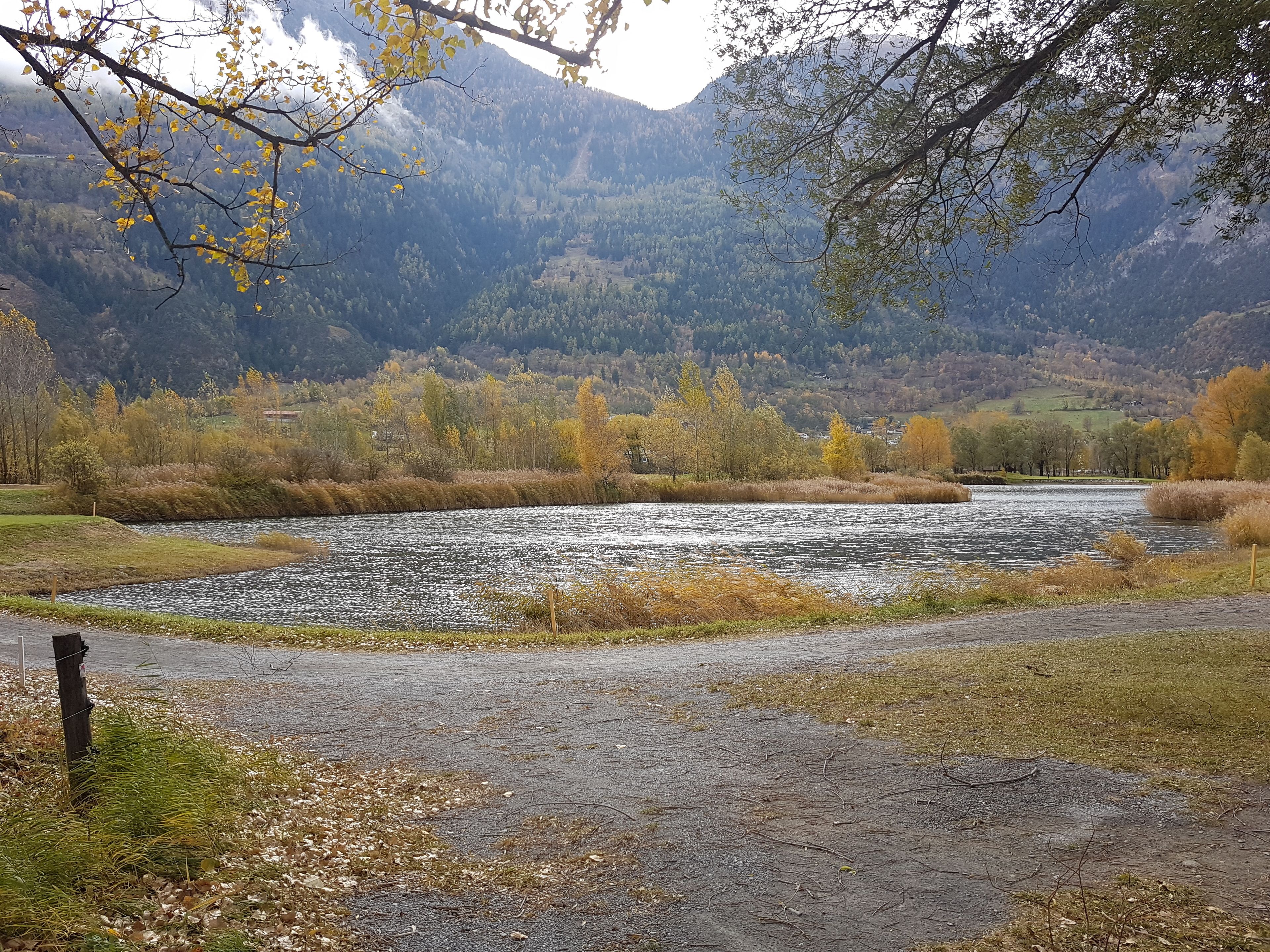 land view from property