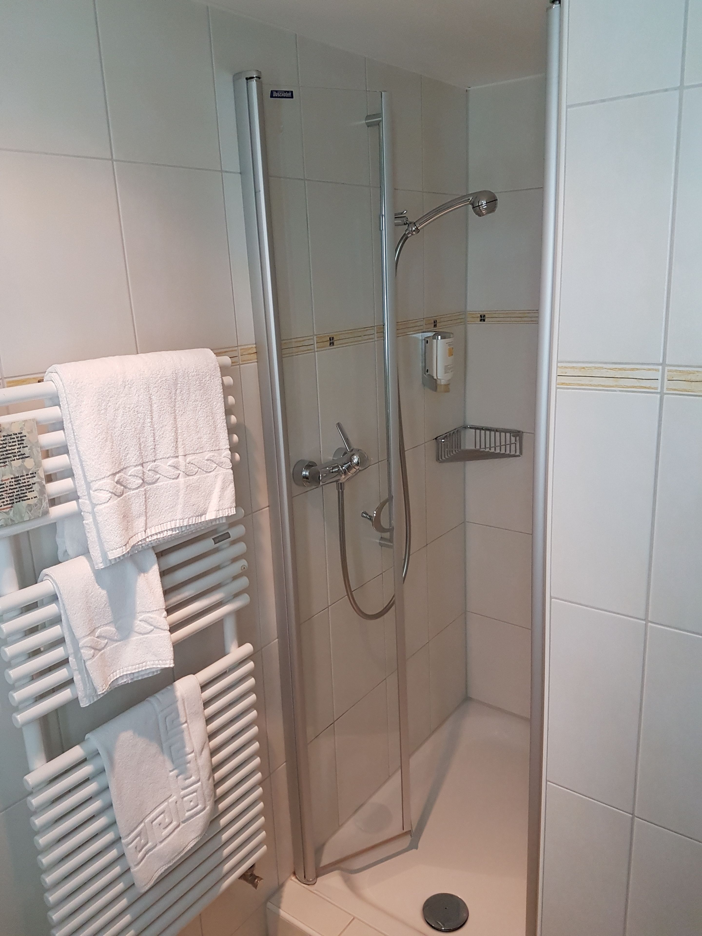 A glass-enclosed shower stall with a handheld showerhead, a towel rack with folded towels, and a small shelf with toiletries.