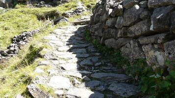 A stone pathway leading through a rocky terrain with a stone wall on one side.