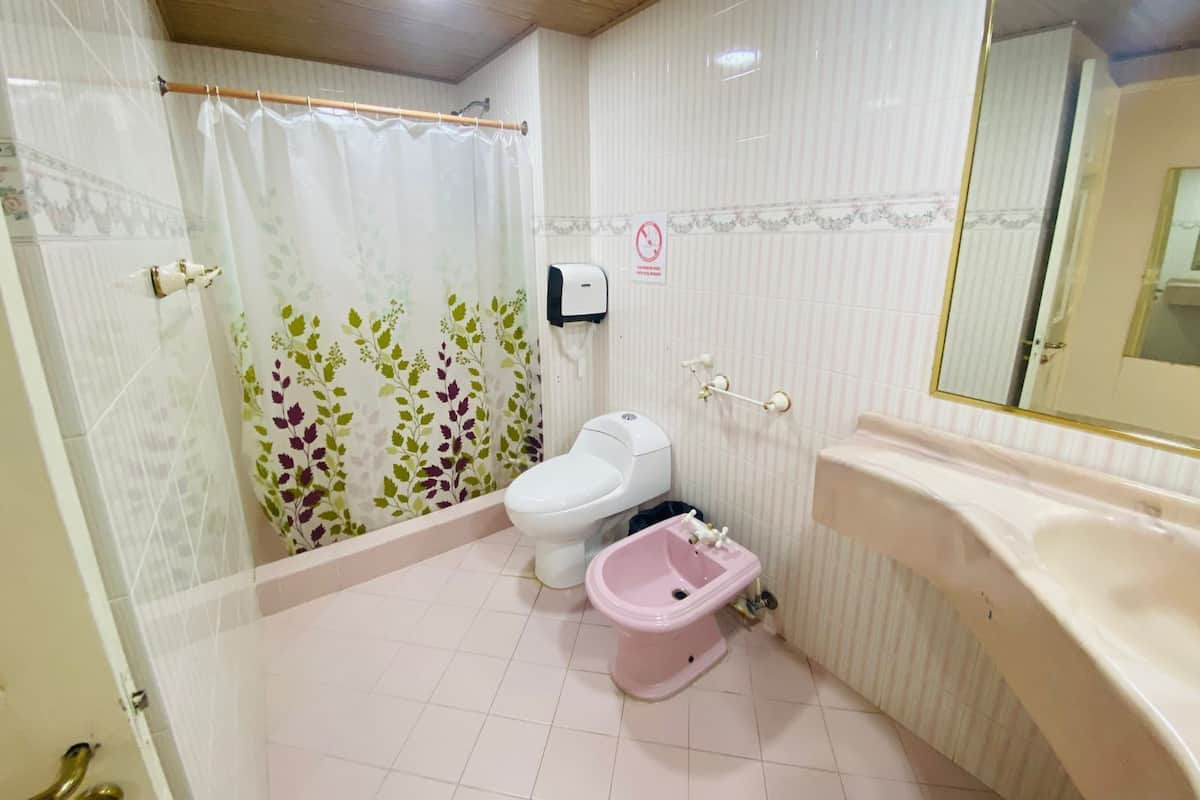 Dusche, kostenlose Toilettenartikel, Bidet, Handtücher