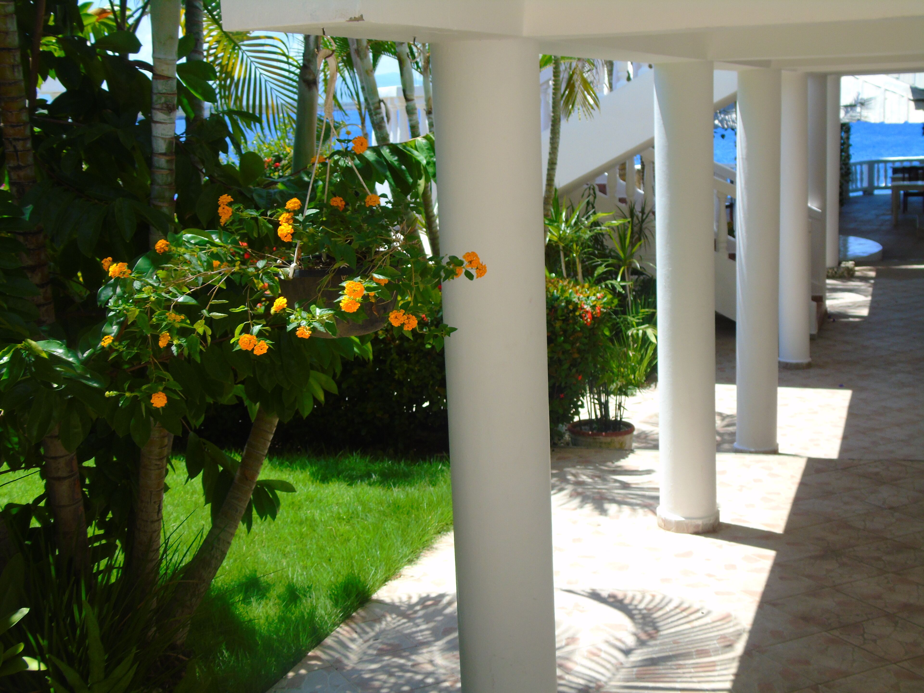 Foto - Piergiorgio Palace Hotel