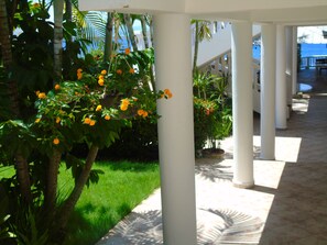 Outdoor wedding area