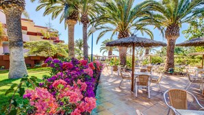 Ein Terrassenbereich im Freien mit Liegestühlen und Sonnenschirmen, umgeben von Palmen und blühenden Pflanzen.