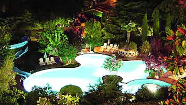 A landscaped garden with a swimming pool, surrounded by tropical plants and trees. - Balletti Park Hotel (Viterbo)
