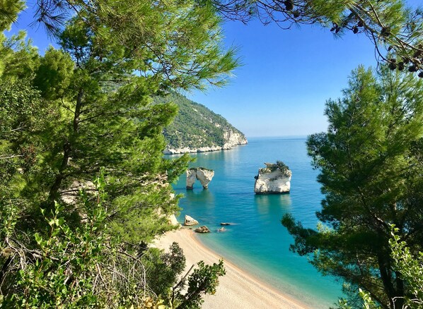 Private beach nearby