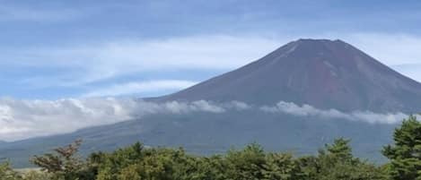 Un parque con una montaña al fondo.