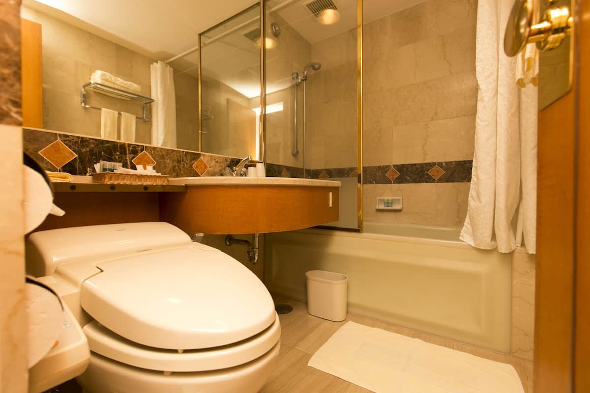 combined shower/bathtub, free toiletries, hair dryer, slippers