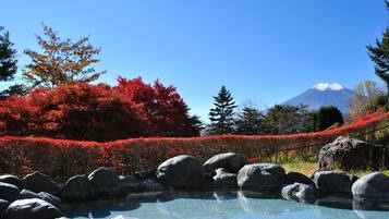 A clear view of a mountain in the background, a rocky pool in the foreground, and a line of red foliage.