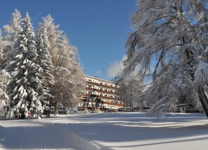 Exterior detail - Grand Hôtel du Golf & Palace (Crans-Montana)