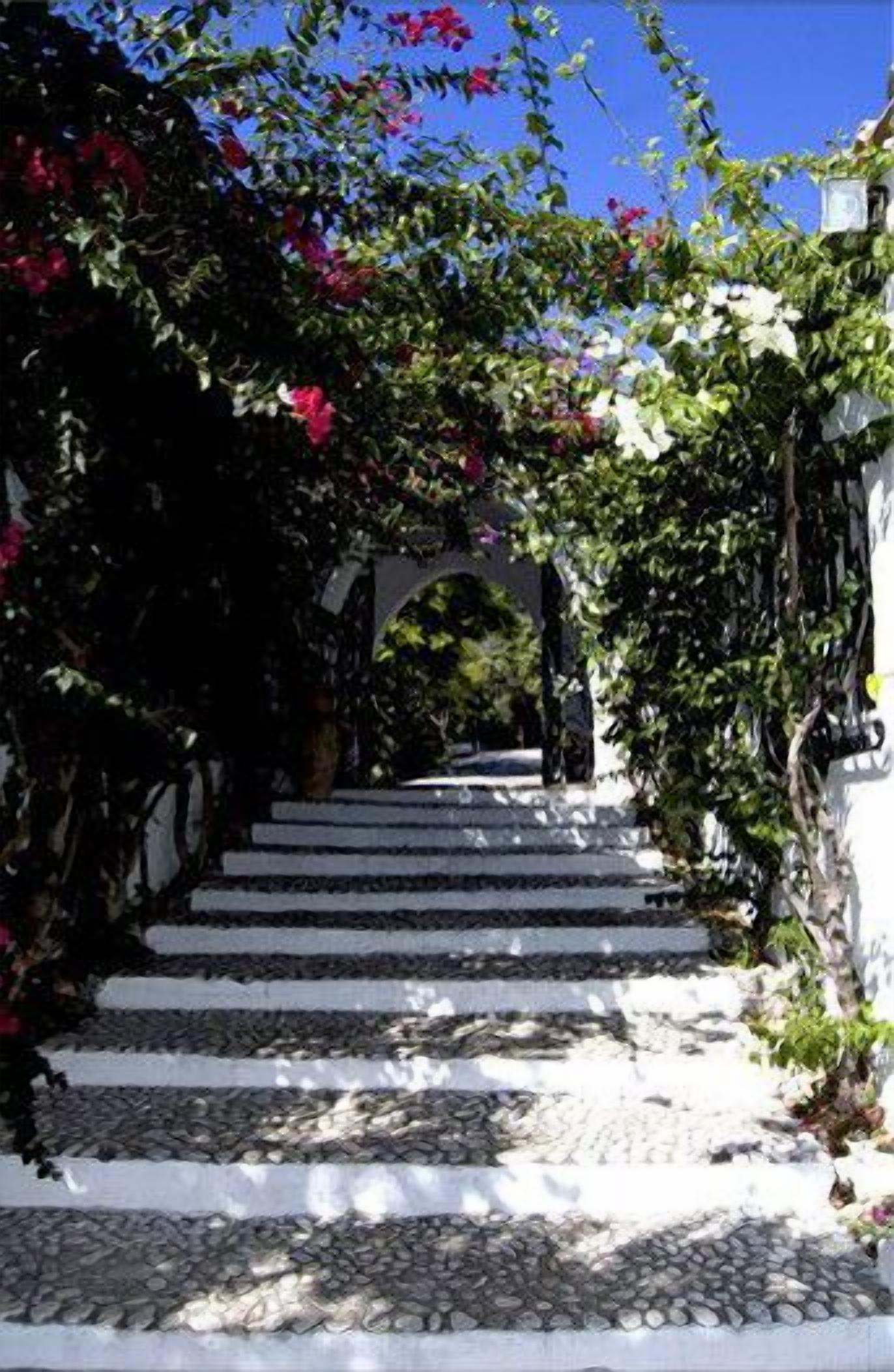 Un escalier aux marches blanches et un chemin de pierre menant à un bâtiment blanc.