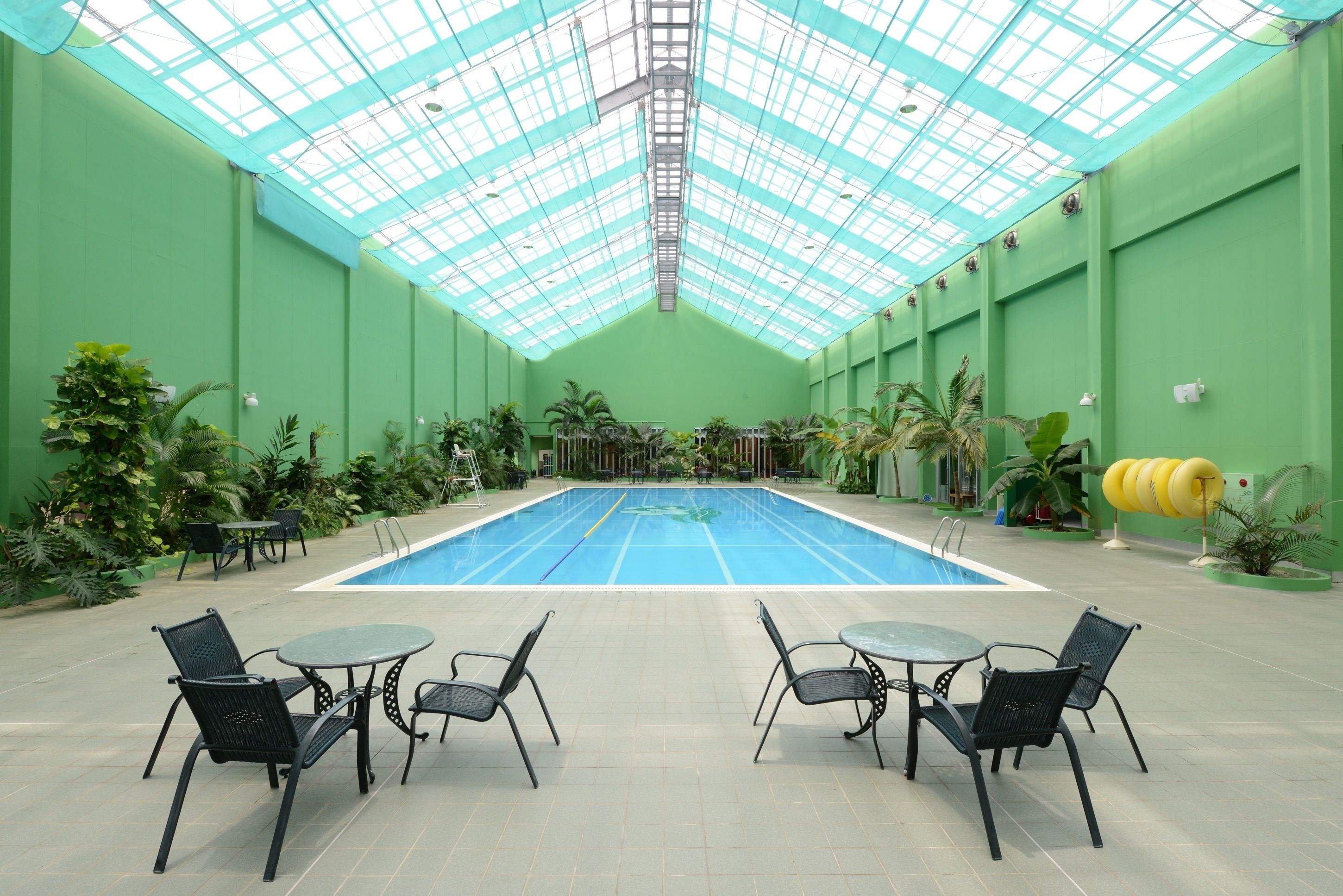 An indoor swimming pool with a glass ceiling, surrounded by green walls and various plants.