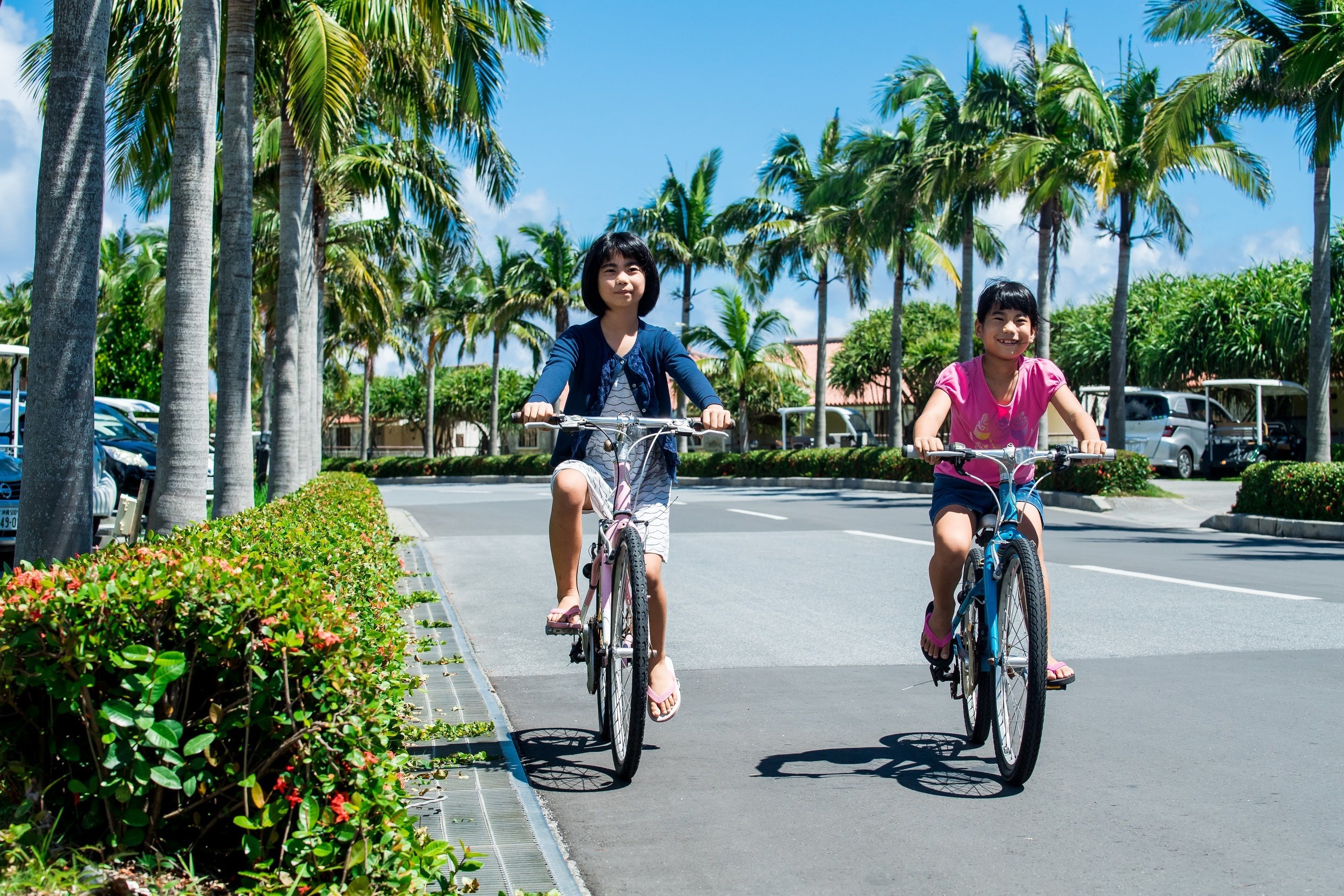 Two people riding bicycles on a road with palm trees and parked cars in the background.