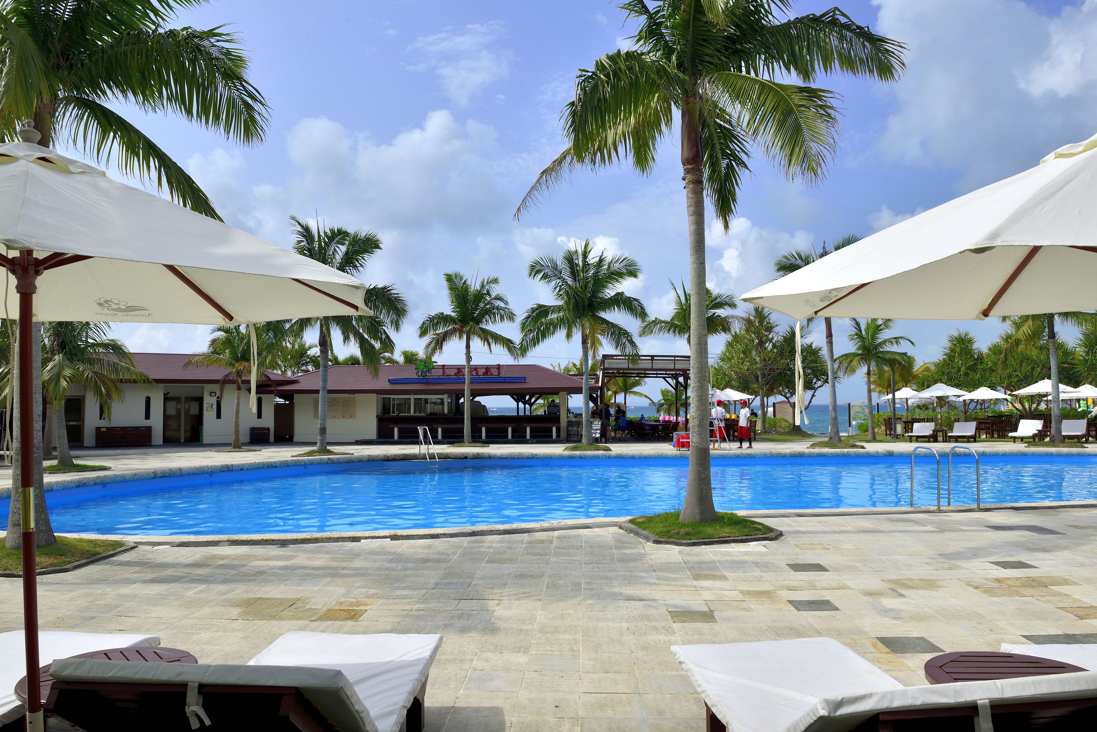A pool area with lounge chairs and umbrellas, surrounded by palm trees and a building with a red roof.