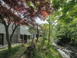 Jardín