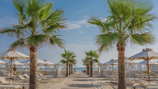 Een strandpad omzoomd met palmbomen en strandparasols, dat uitkomt bij strandstoelen en uitzicht op zee.