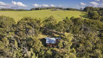 A remote, forested area with a large, open field and a single house surrounded by dense trees.